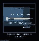 <a href='http://tioverdelo.narod.ru/elektronnaya-sigareta-o2-otzyvy.html'>электронная сигарета о2 отзывы</a>