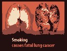 <a href='http://tioverdelo.narod.ru/elektronnye-sigarety-healthstick.html'>электронные сигареты healthstick</a>